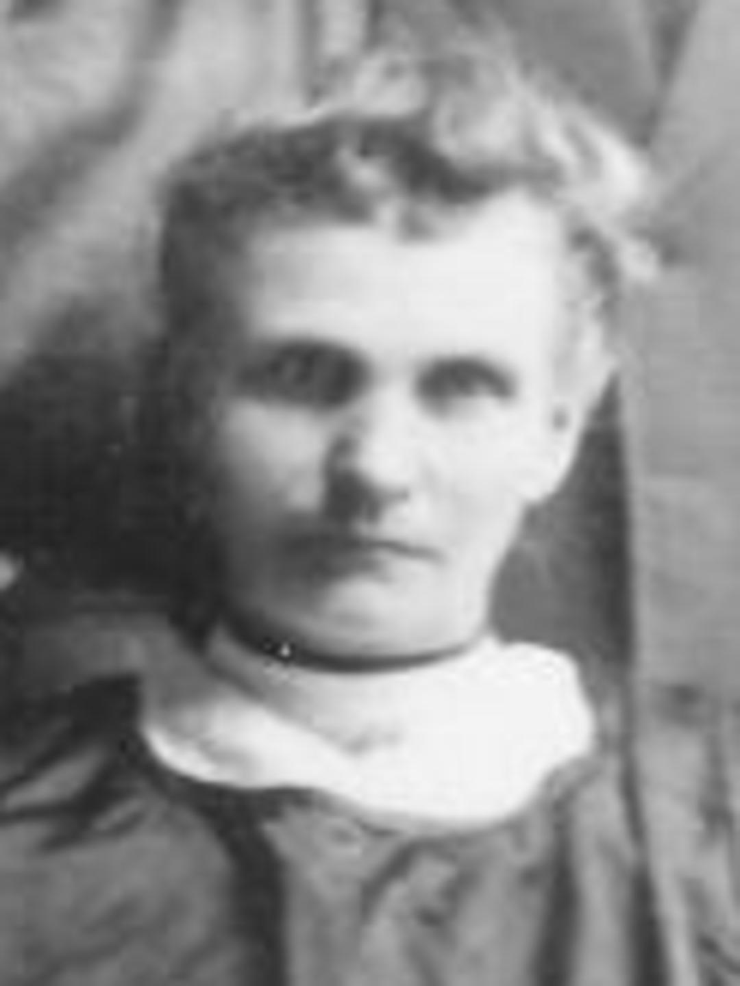 Ann S. Jones (1864 - 1952) Profile